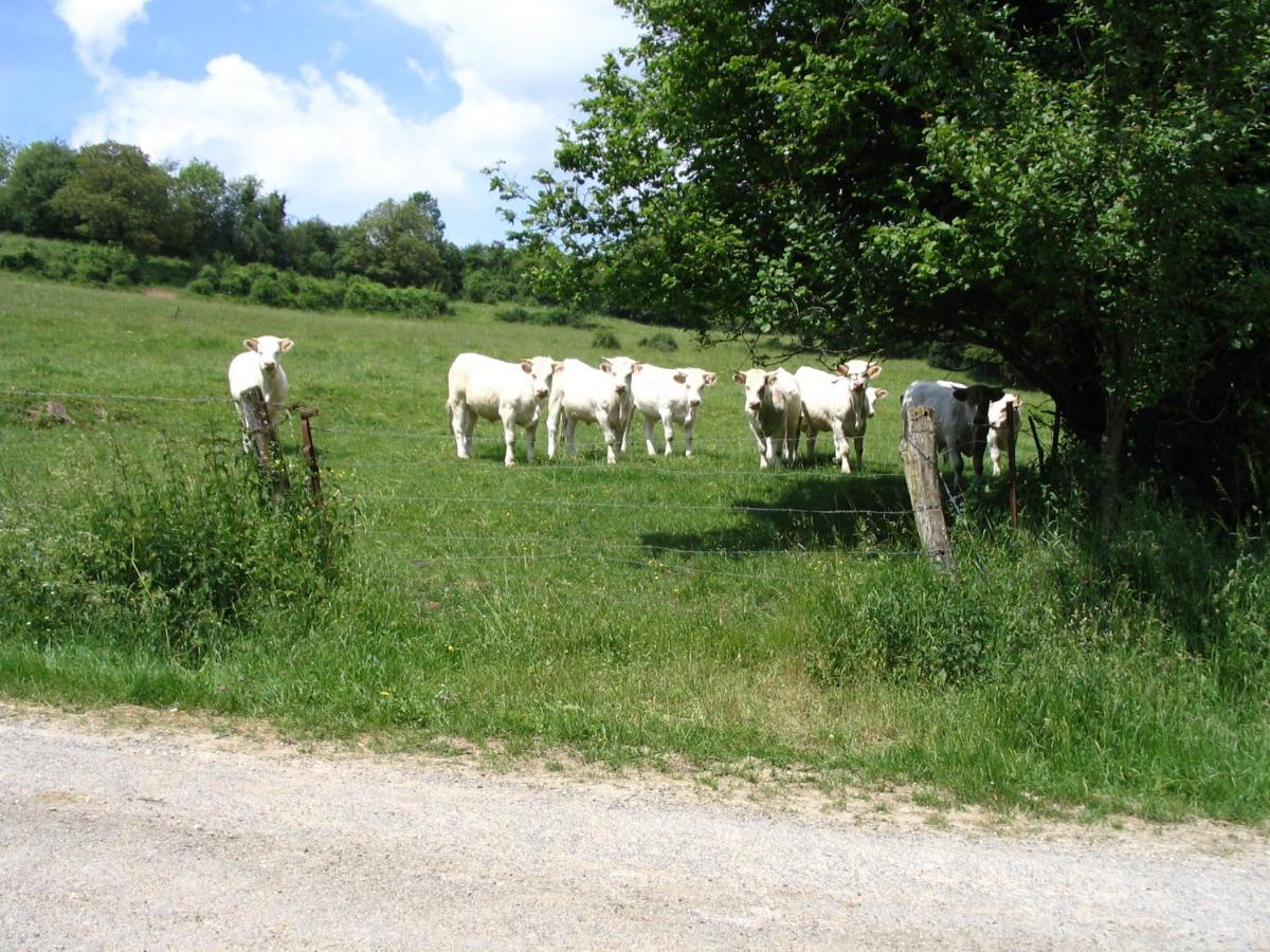 4 Collines Hagnicourt Exterior foto