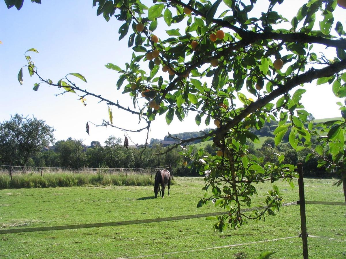 4 Collines Hagnicourt Exterior foto